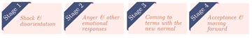 4 Stages of Schlossberg Transitions Theory 4 Stages of Schlossberg Transitions Theory